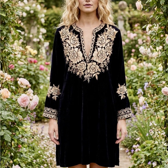 Johnny Was Dresses & Skirts - Johnny Was Olenna Velvet Knit Embroidered Dress